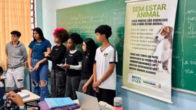 Projeto de TCC incentiva adoção de cães e gatos