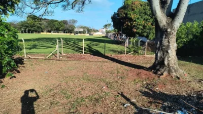 Campo do Vila Nova recebe limpeza e roçagem na área externa