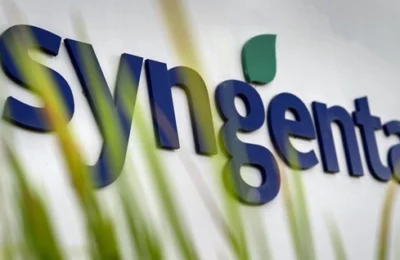 Syngenta tem oportunidades para Jovem Aprendiz em Paulínia